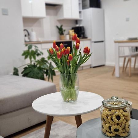 Apartament Na Skalkach イェレニャ・グーラ エクステリア 写真